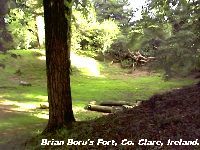 Brian Boru's Fort,Co. Clare.