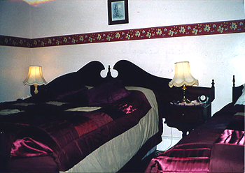 Shanlee B&B, 
Lahinch Road, 
Ennis, 
Co. Clare
Ireland