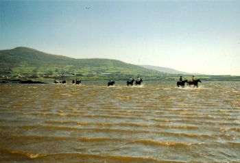 The Final Furlong B&B,
Cahirciveen,
Co. Kerry,
Irlanda.