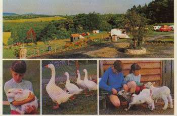 Nore Valley Park, 
Caravan and Camping Accommodation, 
Bennettsbridge, 
Co. Kilkenny.,
Ireland.