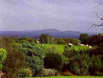 Toberphelim House B&B,
Granard,
Co. Longford,
Irlanda