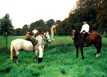 Cahir Equestrian Centre 
and Farmhouse Accommodation, 
Ardfinnan Road, 
Cahir, 
Co. Tipperary