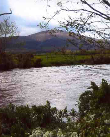 Ballyboy House Bed and Breakfast, 
Ballyboy, 
Clogheen Rd, 
Cahir, 
Co. Tipperary,
Ireland.
 